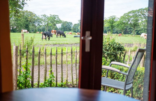 Cozy Apartment in Enschede near Forest - Foto 33