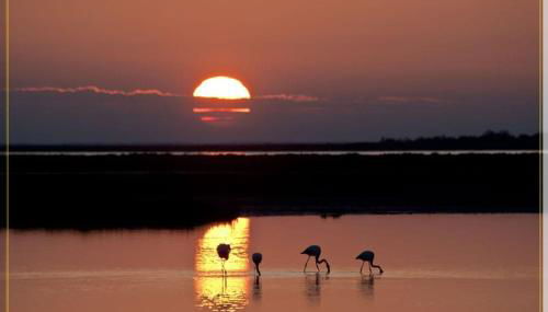 Chateau Juliette Winery Villa Provence - Foto 4