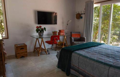 Canto dos pássaros - Foto 23