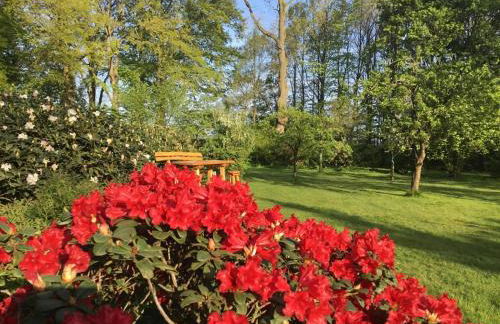 Ferienhaus in Lindern mit Garten & Terrasse - Foto 36