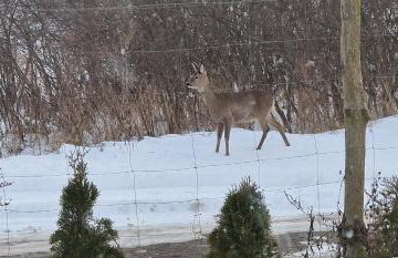 Zimna Apartments - Foto 31