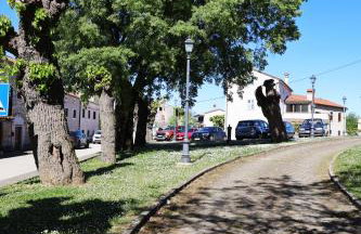 Apartman Neo - Foto 22