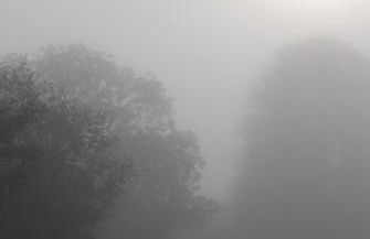 Ferienwohnung im Grünen - Hof Blohme - Foto 38