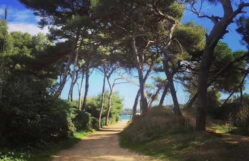 LA BADINE Accés direct à la plage clim balnéo piscine - Foto 35