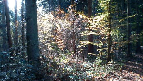 Haus Katharina - Foto 3