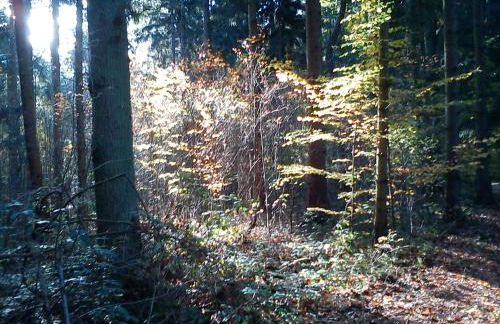 Haus Katharina - Foto 3