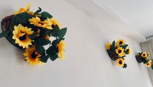 Apartamentos Ruz - Foto 3