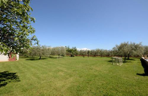 Apartments Mariano - Foto 13