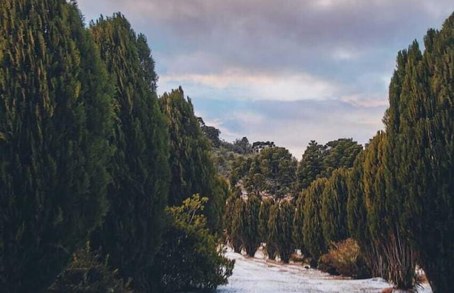 Pousada Rota das Cachoeiras Urupema - Foto 29