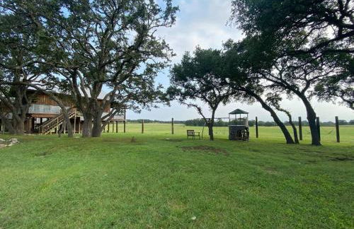 Tree House Bungalow @ Bergheim Ranch - Foto 11