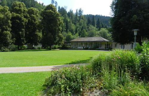 Ferienwohnungen in Schönmünzach - Photo 20