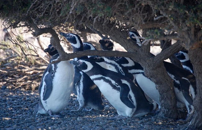 Estancia Monte Dinero - Photo 34