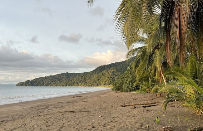 Irana Pacific Hotel - Photo 8