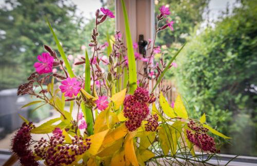 Dog friendly cottage on the edge of the Norfolk Broads - Foto 50