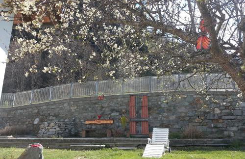 The Green Owl - Foto 2