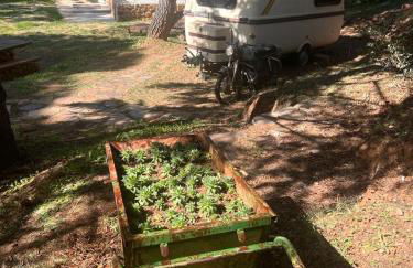 Stone Garden, Casa en plena naturaleza - Foto 60
