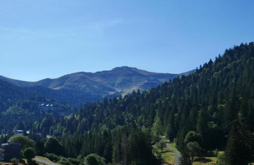 Résidence récente au Lioran à proximité des remontées mécaniques - Photo 40
