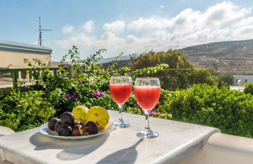 Villa Anemona Tinos - Foto 23