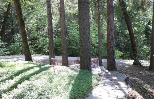 Lux, designer 8-acre retreat with private creek - Foto 80