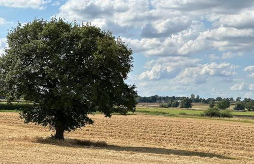 Fotheringhay Glamping - Foto 41