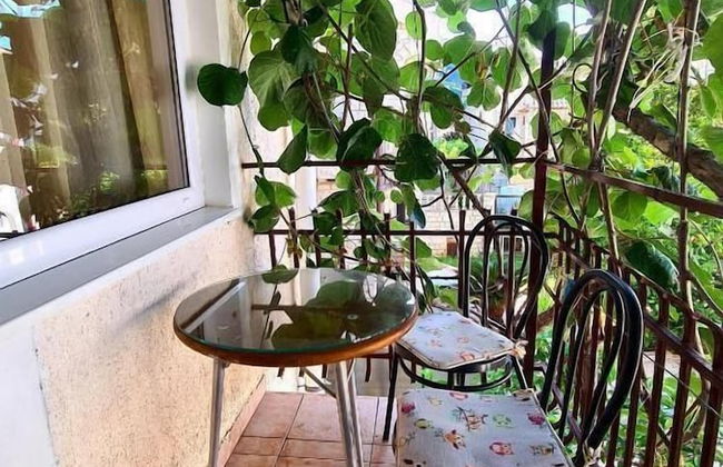 Olive Garden Apartments Petrovic - Foto 18