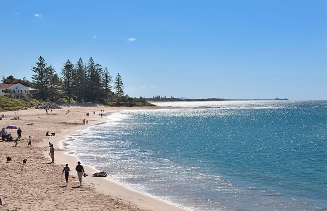 Norfolks on Moffat Beach - Foto 76