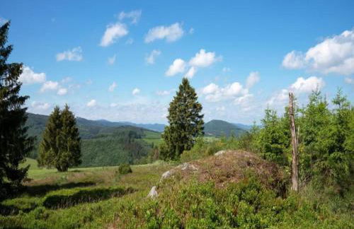 Ferienwohnung Oberschledorner Wald - Foto 27