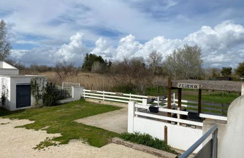 LES MAISONS DU PATY - Foto 15