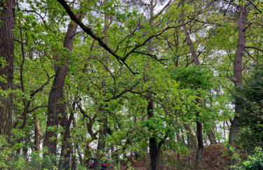 VILLA LE TOUQUET EN FORET - Foto 30