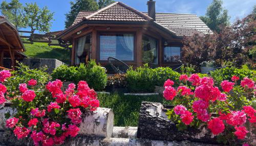 Roza - Foto 2, Garden