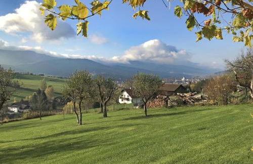 Villa in Bayern nahe Skiloipen & Sauna - Photo 70