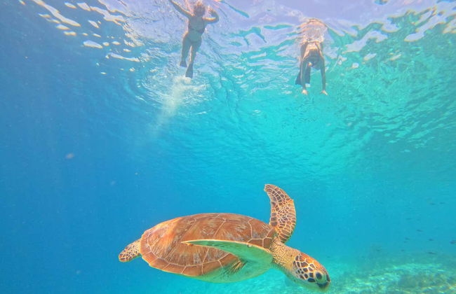 Snorkelling in Gili Meno - Foto 7