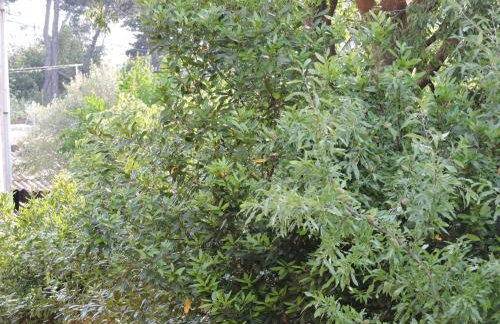 Apartments Perla - Foto 42