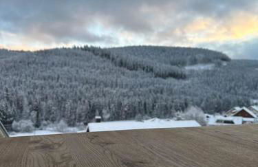 Ferienhaus am Sommerberg - Photo 21