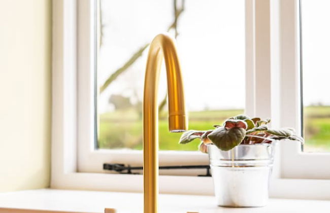 The Patches - Photo 43