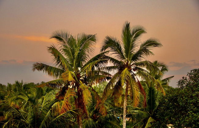 Luxury 3-bed Serviced Apartment in Trivandrum - Foto 36