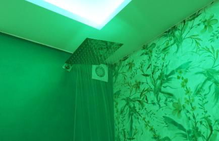 Luxury Royal House - Foto 68