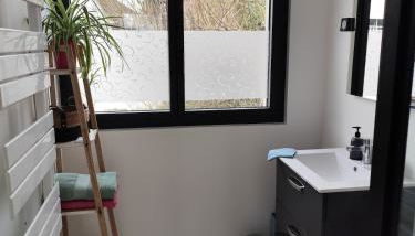 APPARTEMENT CHALEUREUX aux portes de Paris - Foto 4, Shower