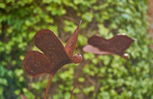 Fattoria la Loggia - Foto 22