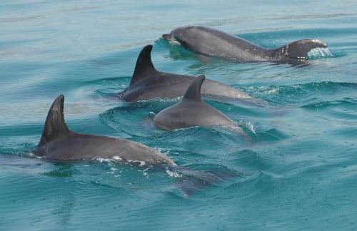 Alojamento local Família Coelho - Foto 33