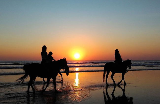 Seagull's Nest Modern Retreat - Foto 30