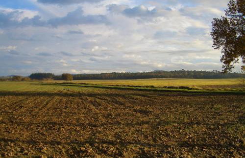 El Mas Pla - Foto 40