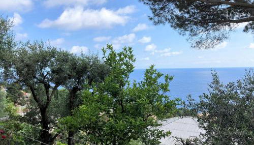 House Levante by Holiday World - Photo 5