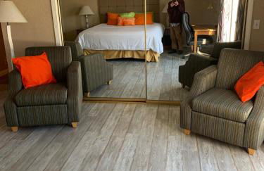 Alicia Alibi vintage Vegas pool house - Foto 58