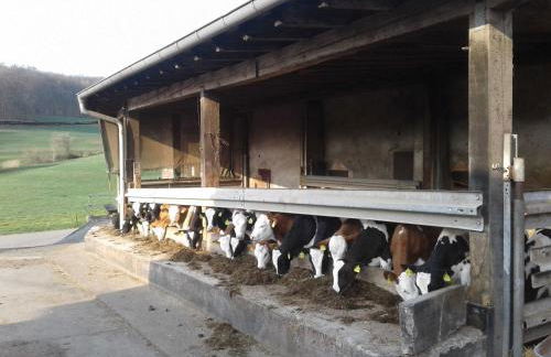 Kreuzdellenhof - Ferienwohnung - Foto 10