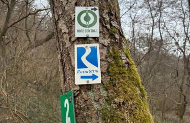 ChrisTho - Am Rheinsteig - Foto 25