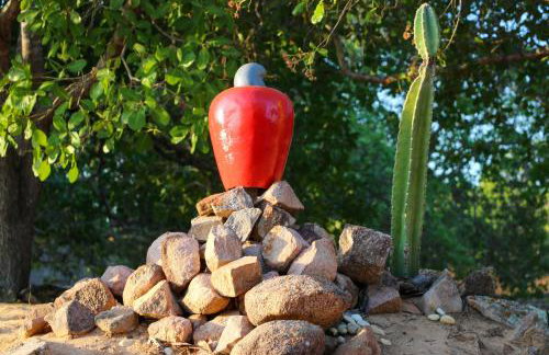 Rancho Império do Cajú - Foto 9