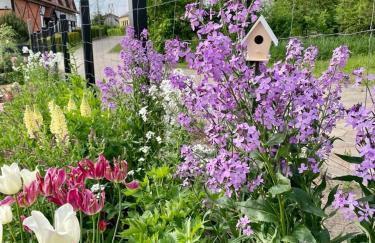 Chata Jakimówka - Foto 21