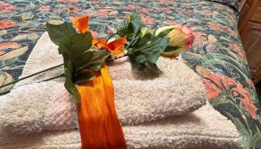 Cozy HOUSE - Foto 5, towels