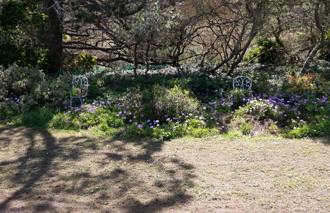 La maison de Toul an Dour - Foto 32